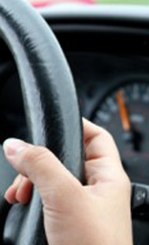 Occupational License Lawyer Carrollton
